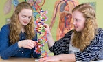 Two caucasian teenage girls studying human DNA model in biology lesson in front of wallchart