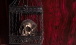 Close Up of Shiny Gothic Skull in Ornate Metal Cage in front of Red Background with Copy Space