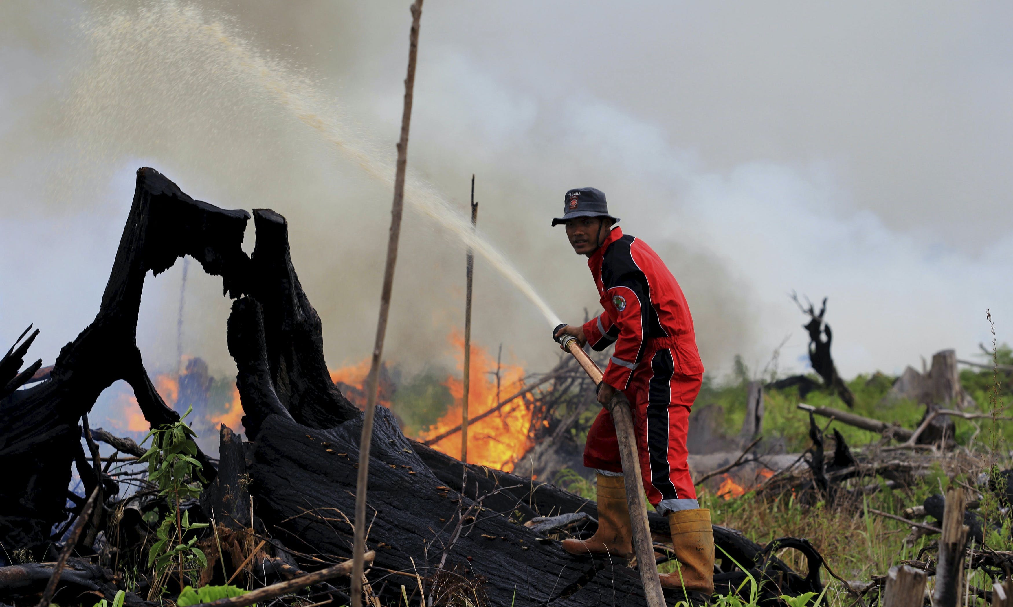 Indonesia Elections: Corruption, Land Sales and Environmental Crisis 