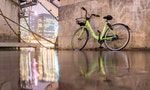 記者實測9成車開唔到鎖　香港首間共享單車Gobee.bike「賺唔到錢」結業