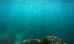 史上最強募資計畫「海洋吸塵器」為什麼一下就死掉了？
