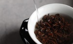 識茶風味｜如何從「茶標」裡辨識出自己對茶的喜好