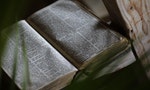 bible_book_old_christian_the_holy_book_c