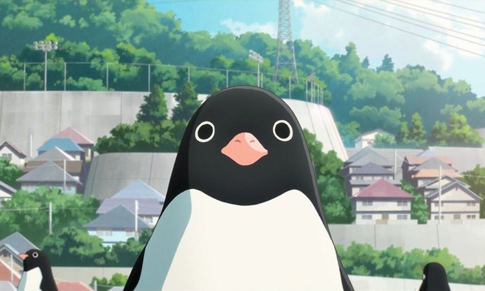 FILM REVIEW: ‘Penguin Highway’ Is a Psychedelic Sci-fi Bildungsroman