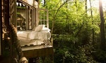 secluded-intown-treehouse-3-1538671488