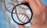 科學家發現除了「脫靶效應」，CRISPR基因編輯還有另一個隱憂