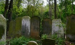 TowerHamlets_Cemetery_Park