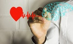 heart brain and health - 圖片