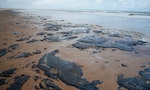 巴西東北海岸線油污海洋污染沙灘