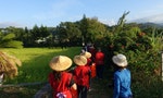 Romantic Route 3: Rediscover Hakka Culture at Beipu, Taiwan