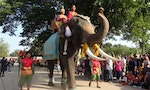 有需求就有傷害：泰國大象觀光利潤高，看似歡樂地幫大象洗澡也可能造成傷害