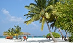 想在「一島一飯店」的馬爾地夫工作，你該如何準備？