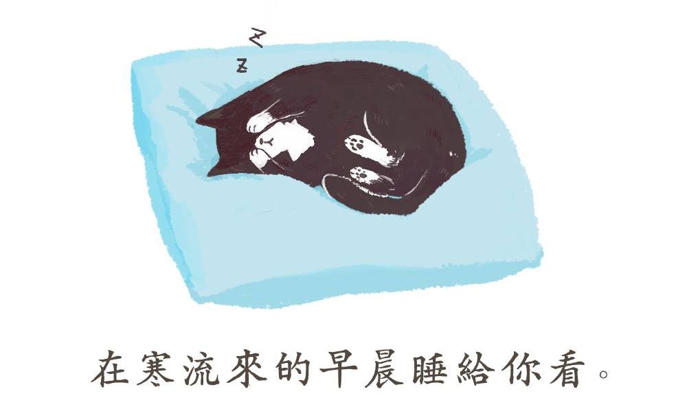 【插畫】貓的興趣︰詐騙、在寒冷早晨睡給你看、嫌棄你