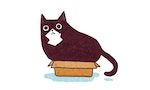 【插畫】貓的興趣︰佔領鋪好的東西、挑戰紙箱容量