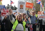 英國脫歐抗議群眾國會