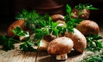 《菇的呼風喚雨史》：無論你愛不愛吃菇，保證你對真菌的印象從此改觀