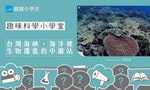台灣海峽——海洋生物遷徙的中繼站