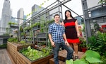 花園城市新加坡：租用園地計畫讓「城市農夫」日益成長