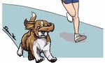 【插畫】狗狗減肥計劃，建議要納入「運動」