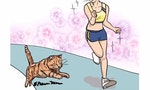 【插畫】如何與貓做運動，理想與現實