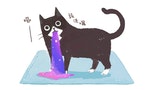 【插畫】貓的興趣︰妨礙工作、提你洗地毯、讓你撿東西