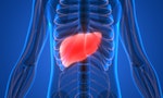 肝臟 Human Body Organs Anatomy (Liver). 3D - 插圖