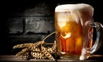 《啤酒百科》：不含脂肪、零膽固醇的啤酒，有哪些其他酒精飲料沒有的優點？