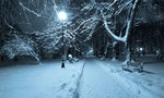 beautiful winter park with night - Image