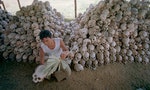 李顯龍「紅色高棉」發言惹議，《高棉時報》批：重新點燃柬埔寨人民的痛苦
