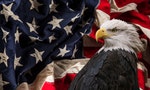 American Bald Eagle - symbol of america -with flag. United States of America patriotic symbols. - 圖片
