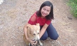 「寵物就是家人」泰籍移工夫婦檔，離台自費帶收養的流浪動物回國