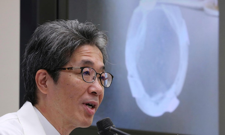 近全盲者視力恢復中：日本實施全球首例iPS細胞角膜移植，力拼5年內「普及化」
