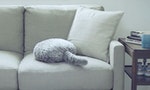 輕輕撫摸就會搖動尾巴，日本機器人公司推出仿真貓抱枕「Qoobo」