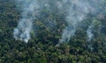 避免危及尚未生效的歐盟貿易協定，巴西總統改口「保護雨林責無旁貸」