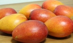 為什麼會有「芒果比較毒，皮膚不好不要吃」這種說法？