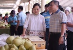 花蓮文旦柚來了  徐榛蔚北上行銷農產品（2）