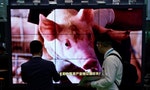 Chinese Pork Prices Doubled Ahead of New Year's Celebrations