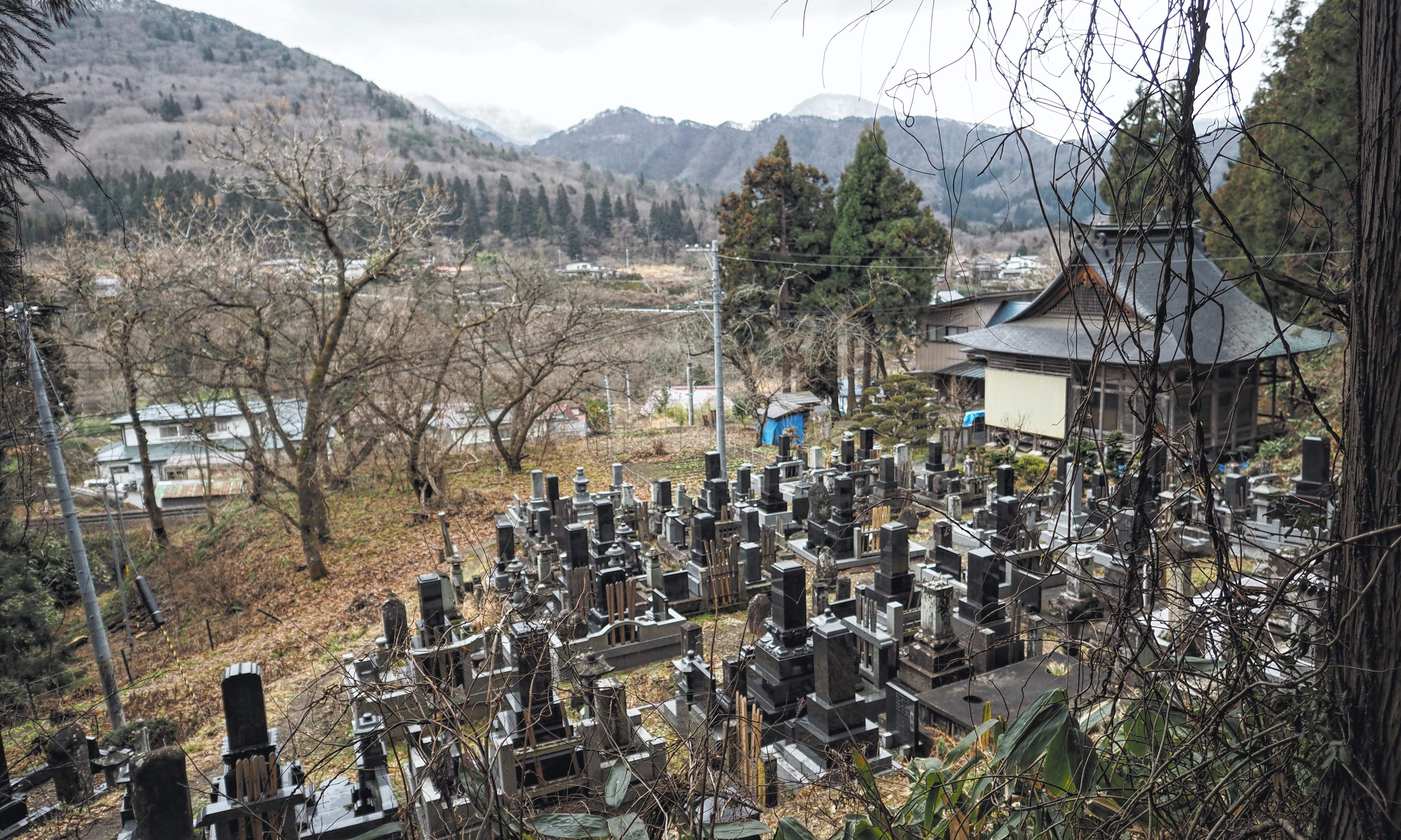 日本喪葬制度流變：從巨大化古墳，到無葬社會與寺院消滅- The News