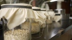 「米學院之米蟲革命」培育並研究米蟲，此照片攝於行政院農業委員會農業試驗所應用動物