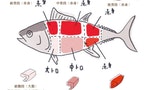 《圖繪日本料理》：鮪魚赤身的哪個部位有最佳口感？