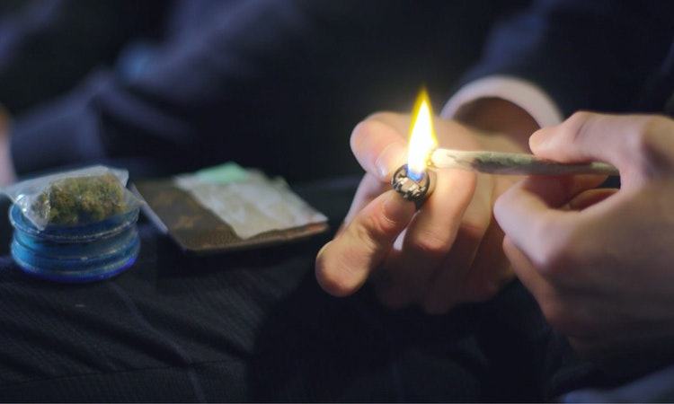 零距離科學：大麻是毒品還是靈藥？
