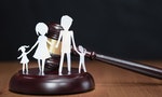 Constitutional court. Divorce and children. Children section by court. Divorce family. Сourt hearing. Judge’s verdict. Symbol law.