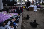 土耳其希臘邊境難民營