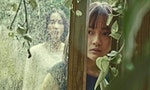 6 Best Taiwanese Films to Watch on Netflix During Quarantine