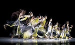 被大環境耗損殆盡的身體：雲門舞集之外，台灣舞者的職涯困境