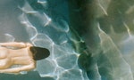 捕捉她們在風裡光裡徜徉的姿態：美國攝影師Birdee鏡頭下的女性胴體
