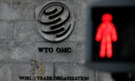 疫後國際經貿秩序重組，幾乎失去功能的WTO有辦法「重開機」嗎？