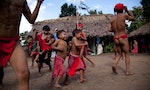 外來者盜挖金礦、砍雨林、帶來武漢肺炎，巴西原住民面臨滅族危機