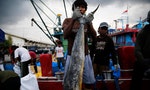 漁工在外國船隻上受虐事件頻傳，印尼政府成立專門國家團隊