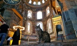 政治歸政治，不關「朕」的事：聖索菲亞博物館今正式作為清真寺開放，官方允諾「館貓」繼續在此居住